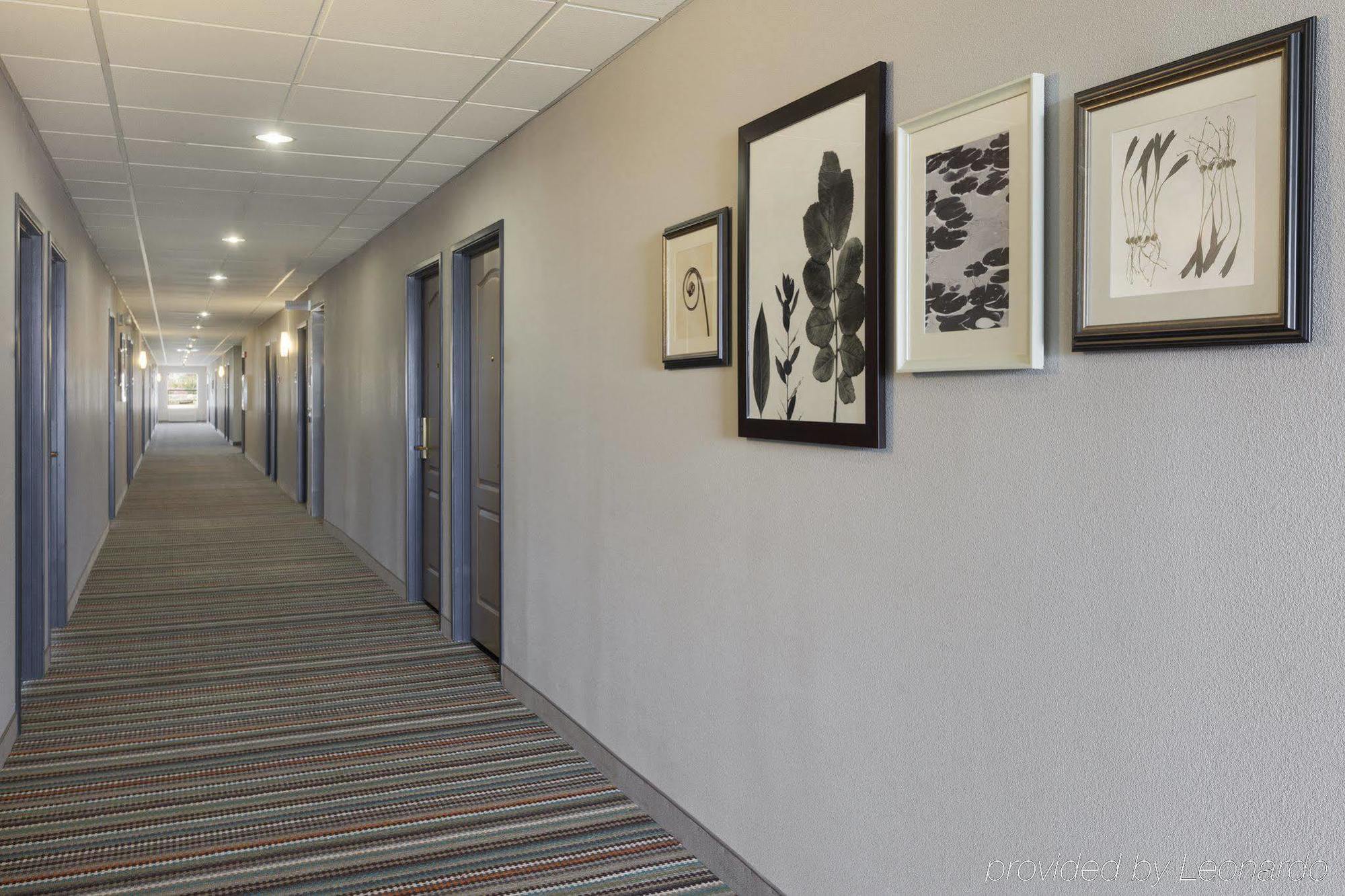 Country Inn & Suites By Radisson, Harrisonburg, Va מראה חיצוני תמונה